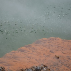 2017-03 New Zealand/Waiotapu/DSC_0368.JPG